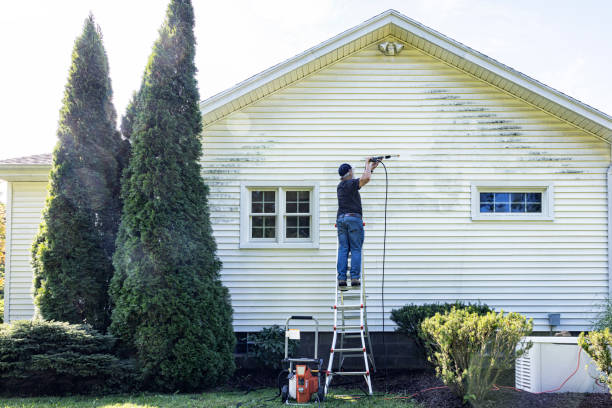 Best Concrete Pressure Washing  in Palestine, TX