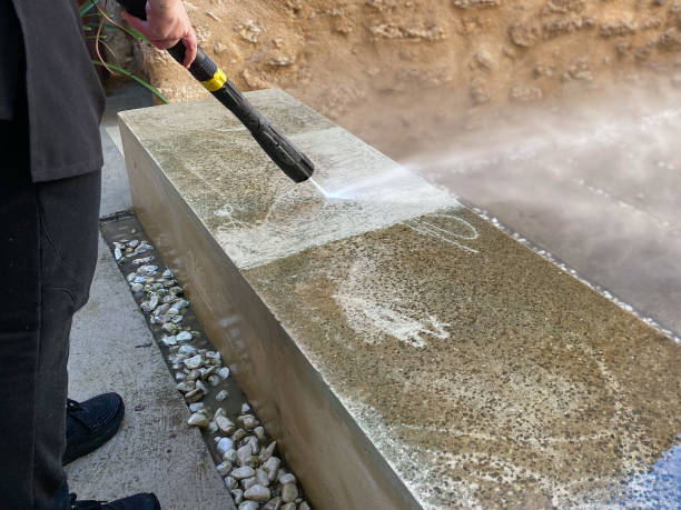 Best Affordable Pressure Washing  in Palestine, TX