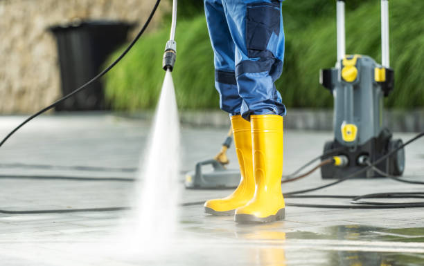 Best House Pressure Washing  in Palestine, TX