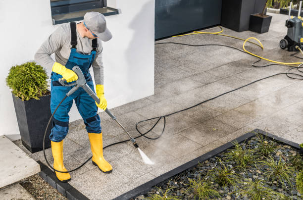 Best Power Washing Near Me  in Palestine, TX