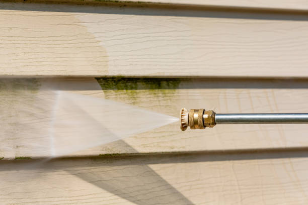 Best Pressure Washing Company Near Me  in Palestine, TX