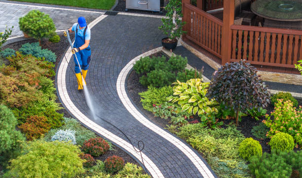 Pressure Washing Contractors in Palestine, TX